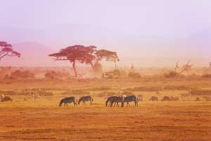 African Adventure Three Countries Safari