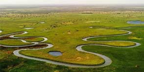 Okavango Delta