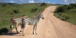 Etosha National Park