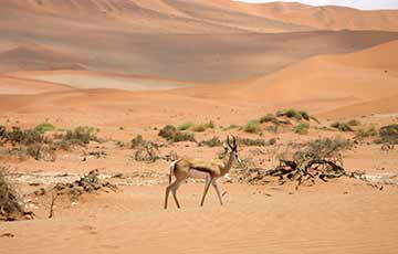 North Eastern Namibia