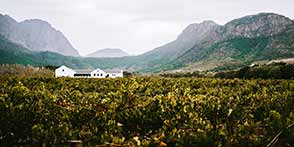 Cape Winelands, South Africa